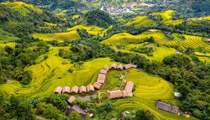 Hoàng Su Phi